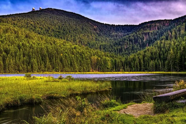 kleiner arbersee, arber, bavaria, bavarian forest, mountain lake, mountains, trail, idyllic, grass, heaven, meadow, green, idyll, forest, nature, germany, lands