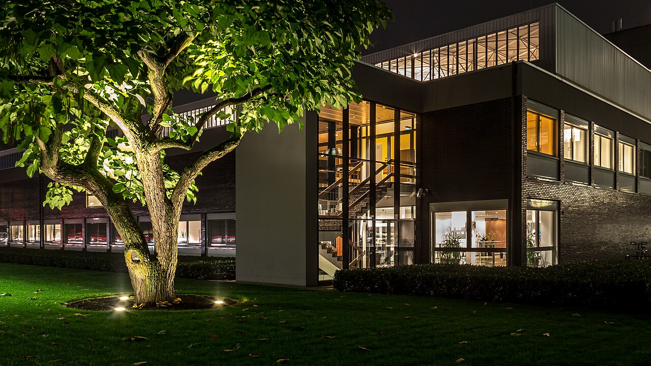 Nächtlich beleuchtetes Bürogebäude mit begrünter Außenanlage und angestrahltem Baum